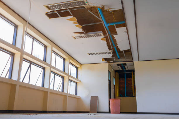 Best Flood damage cleanup  in Cleveland, MS