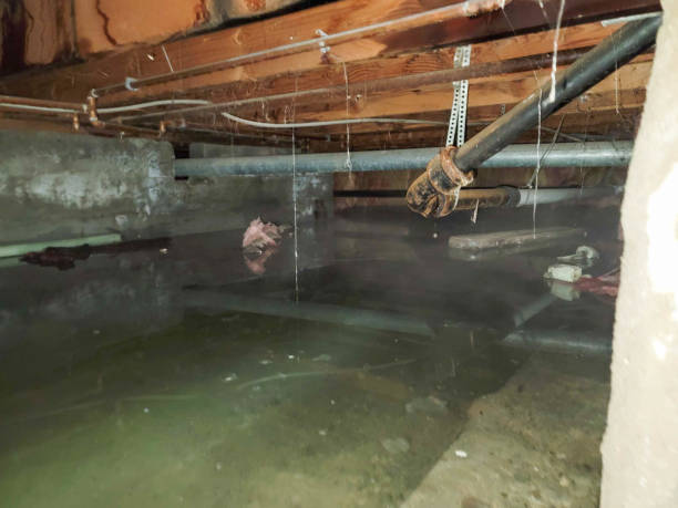 Best Residential water damage restoration  in Cleveland, MS
