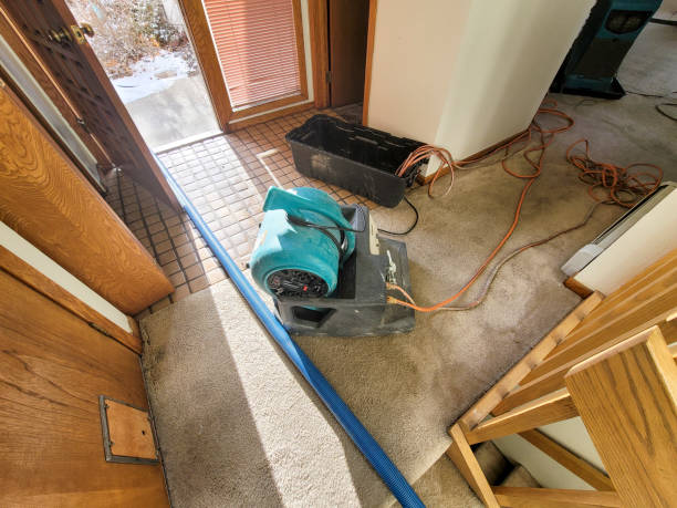 Best Sewage cleanup and water damage restoration  in Cleveland, MS