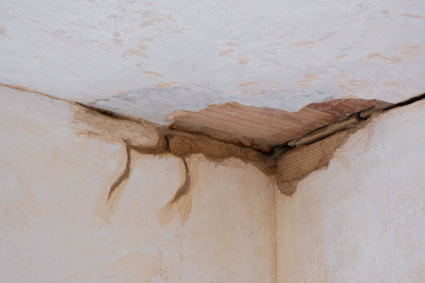Best Commercial water damage restoration  in Cleveland, MS