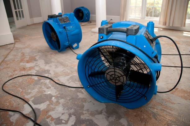 Best 24-hour water damage restoration  in Cleveland, MS