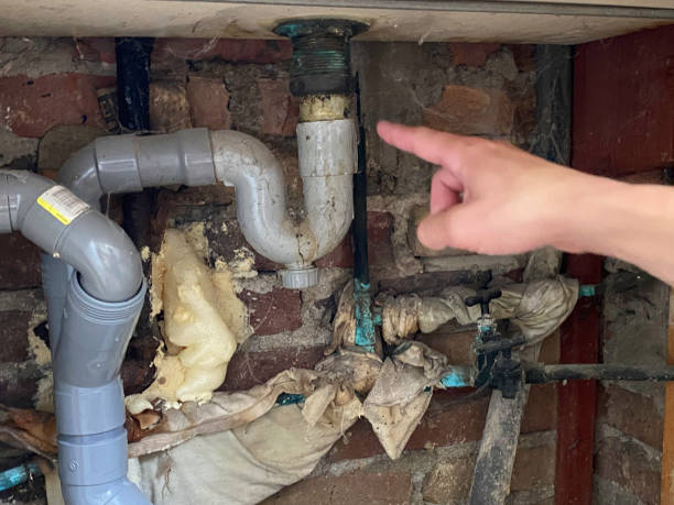 Best Flood damage cleanup  in Cleveland, MS