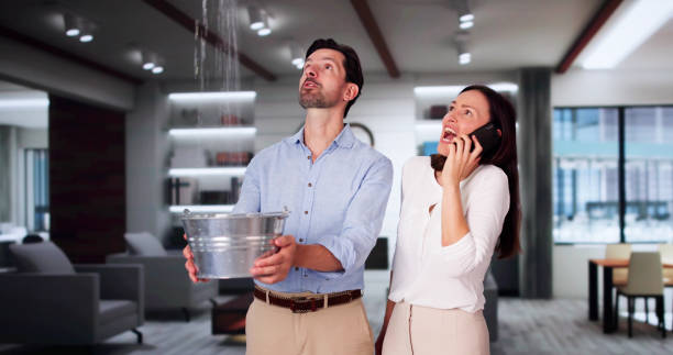 Best Carpet water damage restoration  in Cleveland, MS