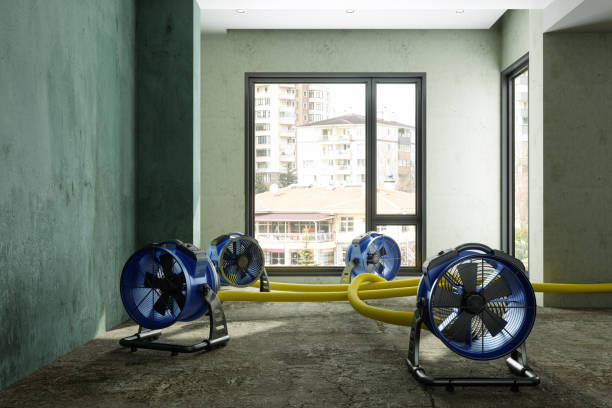 Best Emergency water damage restoration  in Cleveland, MS