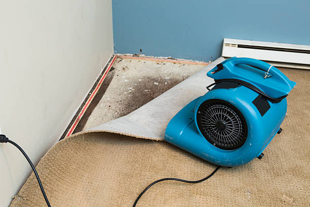 Best Flooded house restoration  in Cleveland, MS